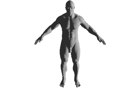 study_human_male_sculpt