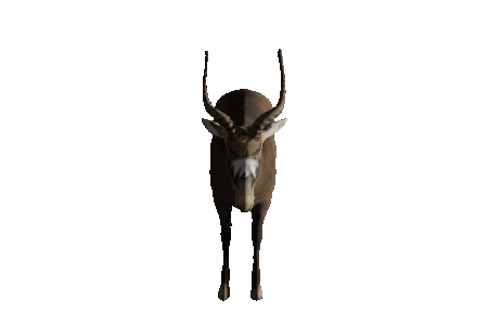 sable_antelope_low_poly