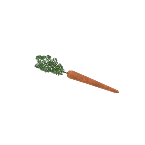 Carrot