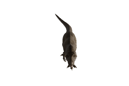 tyrannosarus_rex_free_model