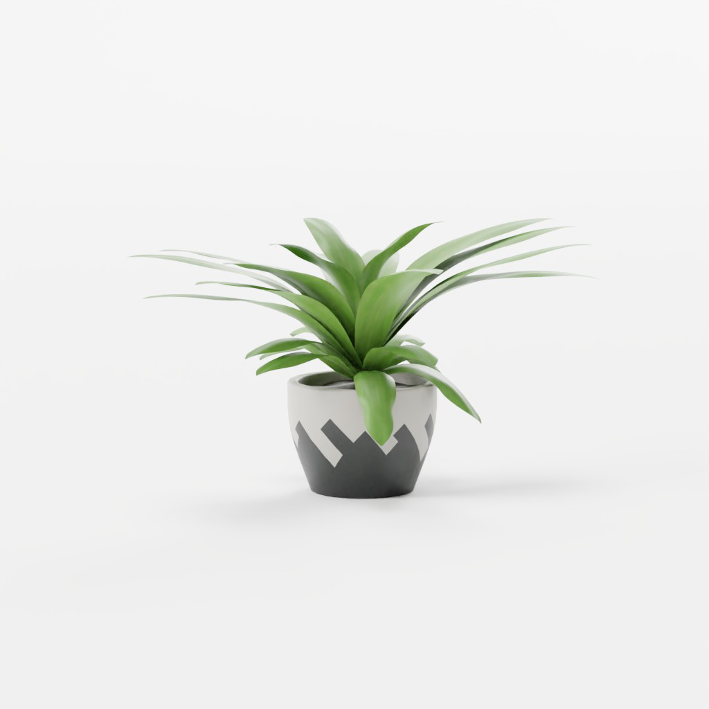 plant-9000984