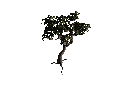 old_tree