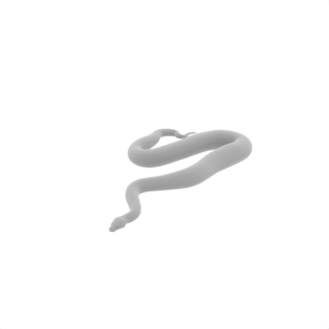 Pythons 3D Model - Explore in Mondial3D