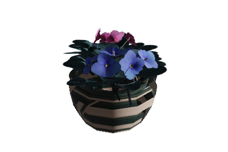 saintpaulia_flowers_low-poly