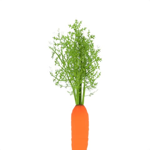 Carrot6